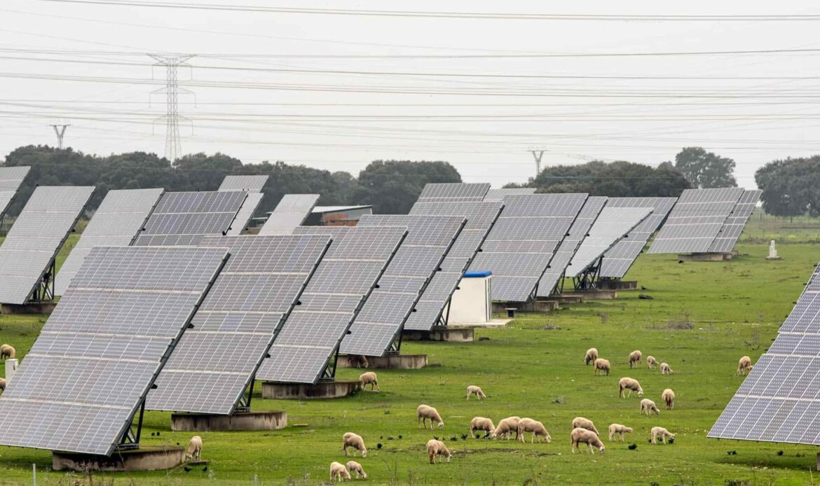 Rentabilizar un terreno rústico: placas solares y cabras