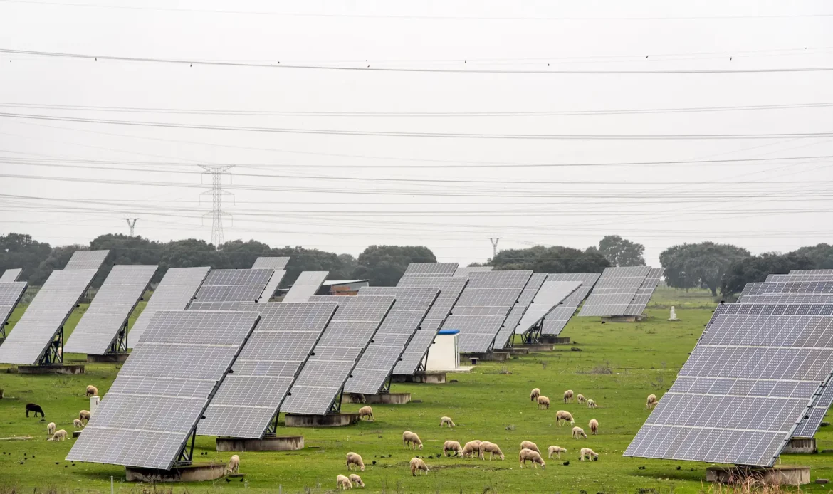 agrovoltaica